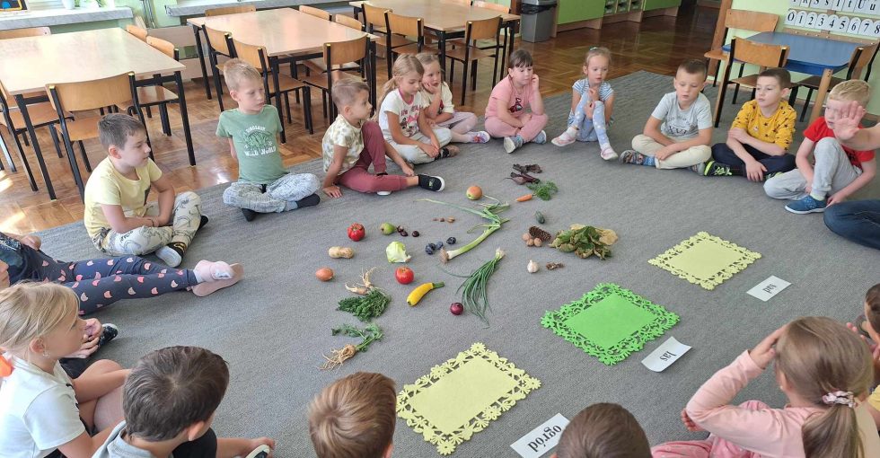 Dzieci siedzą w kole na dywanie. w środku rozłożone są warzywa, owoce, liście, żołędzie i kasztany. Dzieci segregują produkty, dopasowując do miejsca z których pochodzą: sadu, ogrodu, lasu.