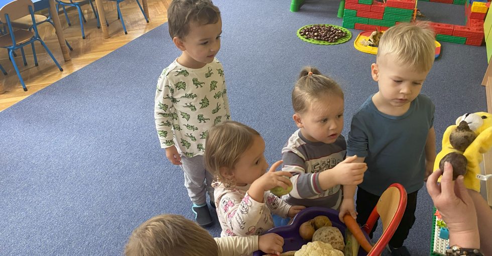 nauczycielka pokazuje warzywa dzieciom siedzącym na dywanie ( warzywa leżą na tacy , a nauczycielka trzyma w rękach dwa buraki)