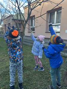 Troje dzieci zawiesza nasiona dla ptaków na gałęziach drzewka.