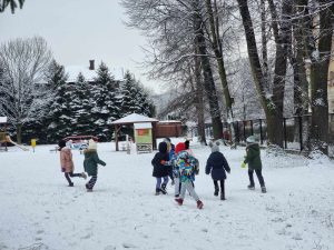 Dzieci z grupy V bawią się na śniegu w ogrodzie przedszkolnym. Lepią śnieżki i rzucają, cześć dzieci biega.